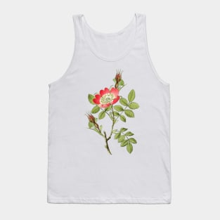 Wild Rose Flower Botanical Illustration Tank Top